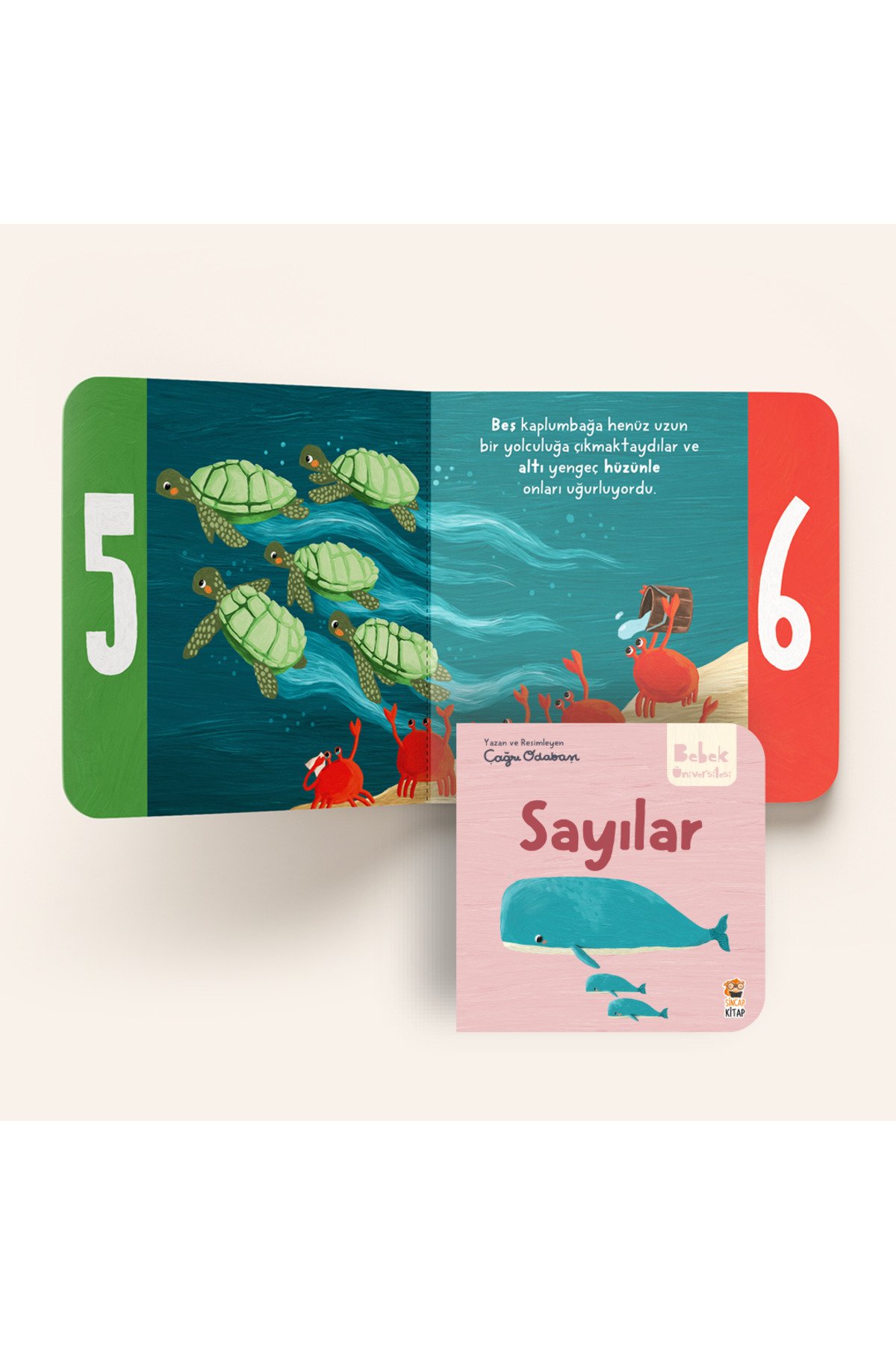 Hikayeli Ilk Kavramlarım - Sayılar
