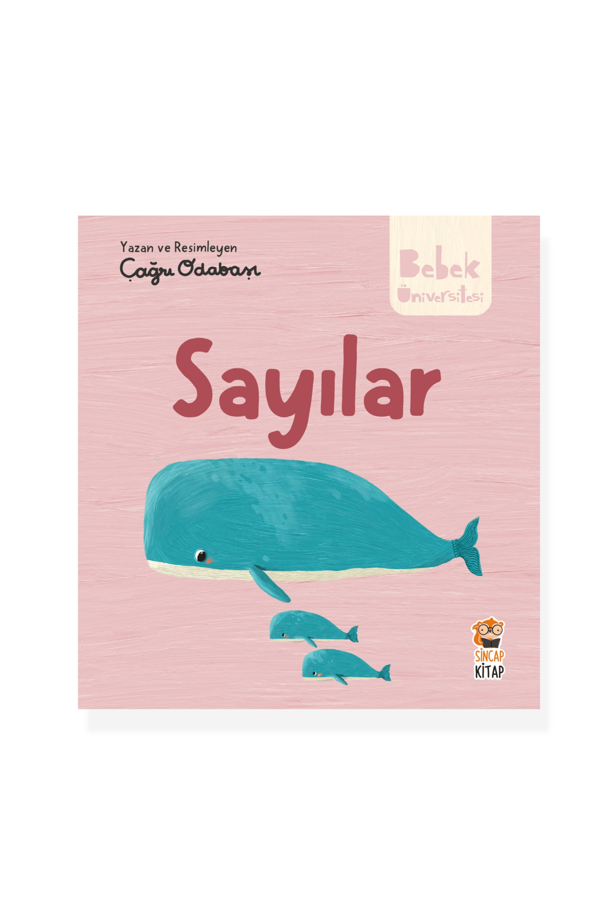 Hikayeli Ilk Kavramlarım - Sayılar