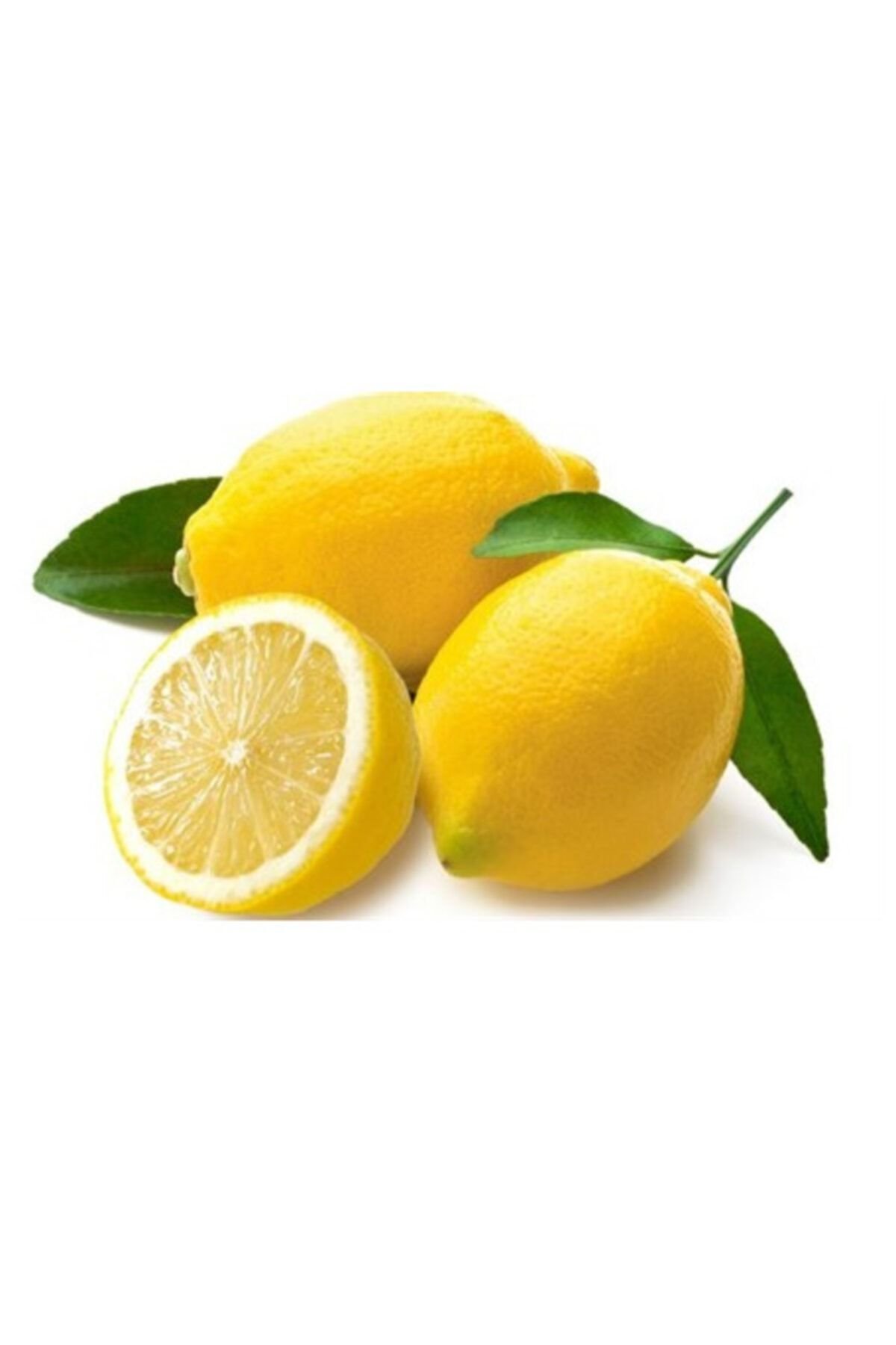 Pril Bulaşık Sıvısı Limon 4 kg x4 Adet