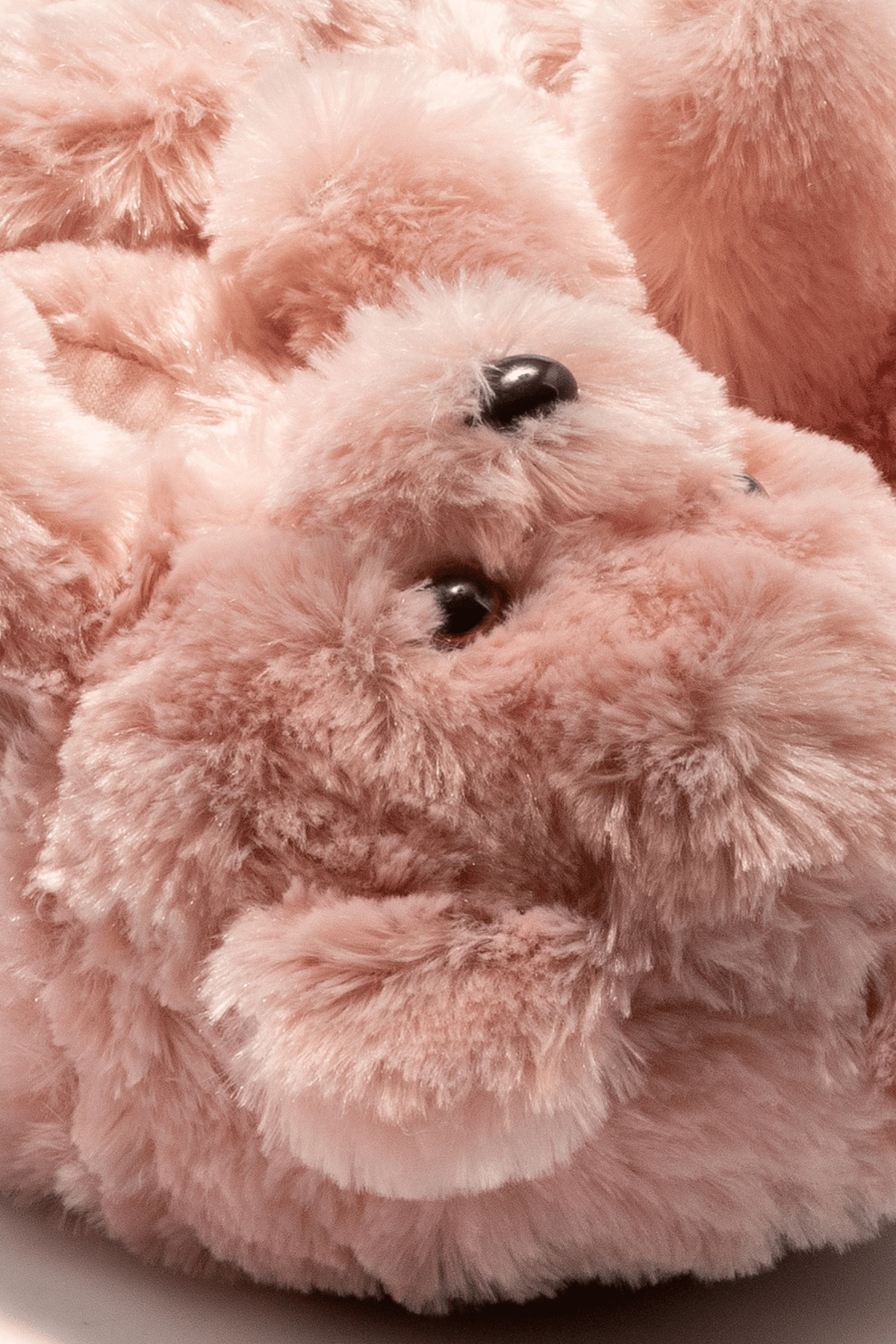 Twigy AA0666 Teddy Kadın Hayvanlı Panduf Gül Kurusu 40/41