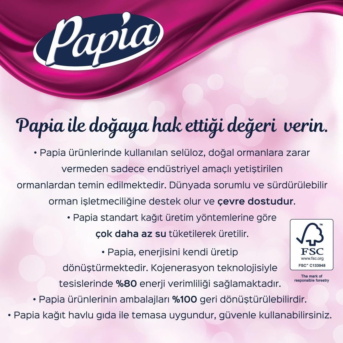 Papia Dekor Kağıt Havlu 48 Rulo (12'li Rulo 4 adet)