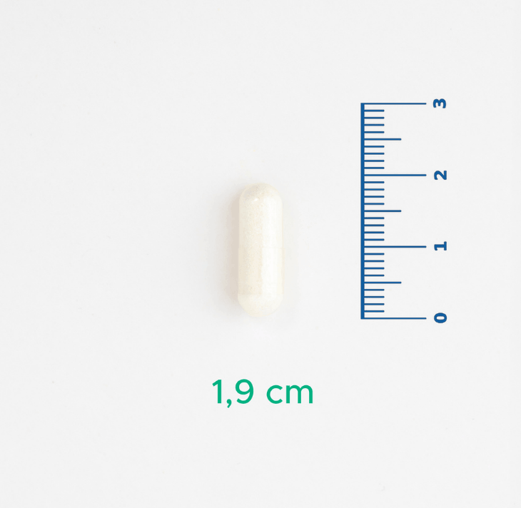 V-Ceramide - Seramid İçeren Takviye Edici Gıda - 30 Kapsül
