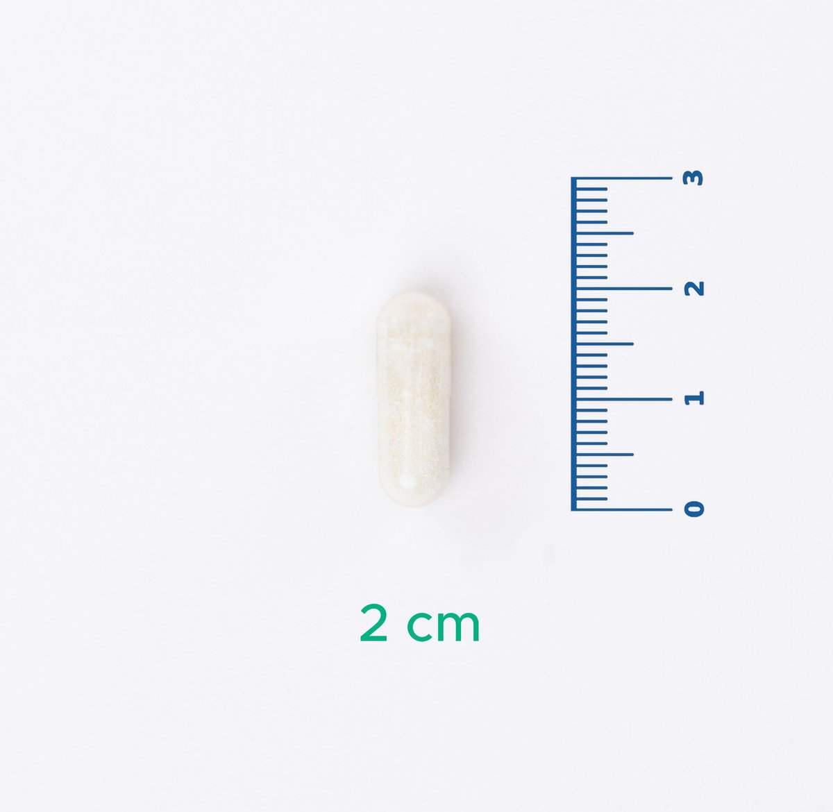 V-GlutenEase