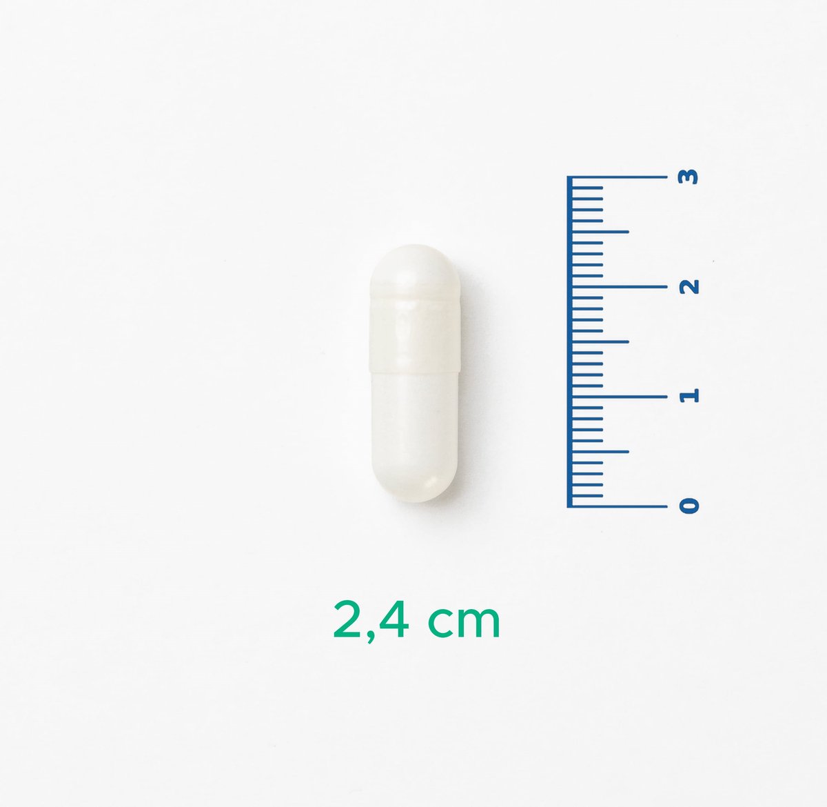 V-ThiaCarnosine L-Karnosin, Benfotiamin, Magnezyum ve B1 vitamini içeren Formül