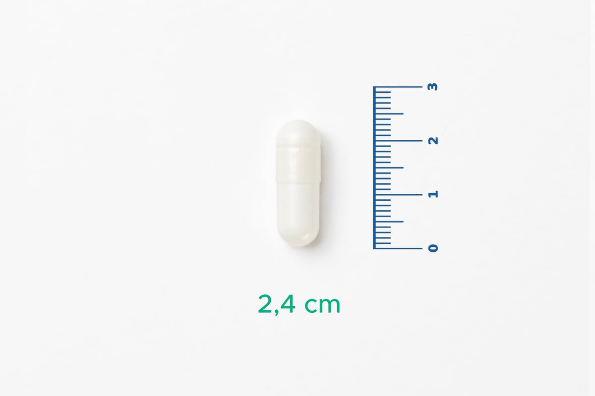V-ThiaCarnosine L-Karnosin, Benfotiamin, Magnezyum ve B1 vitamini içeren Formül
