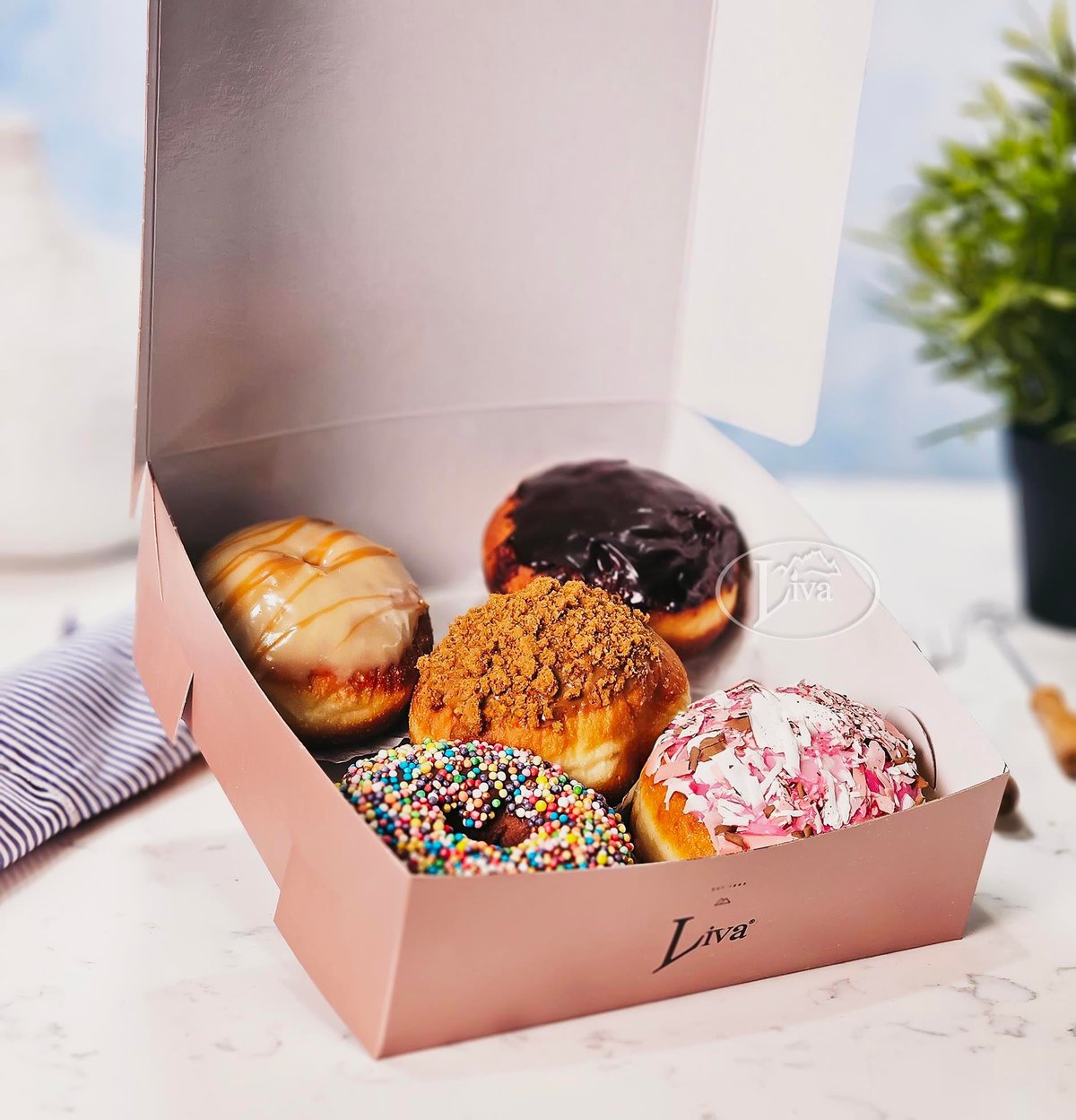 5 Donut Tek Fiyat