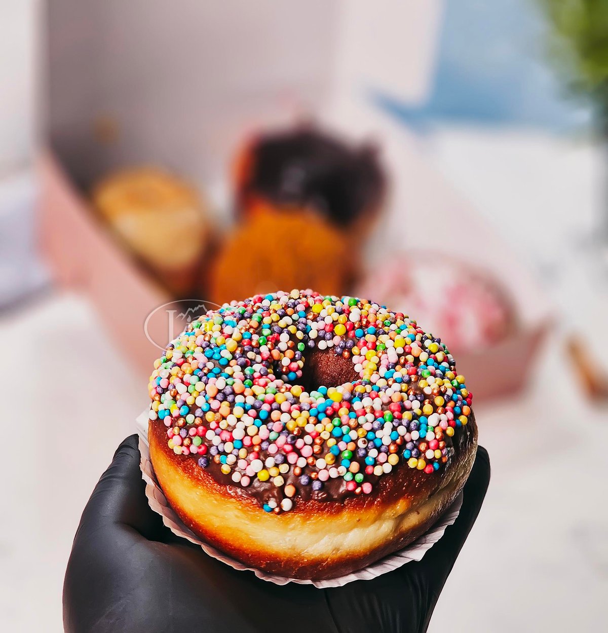 5 Donut Tek Fiyat