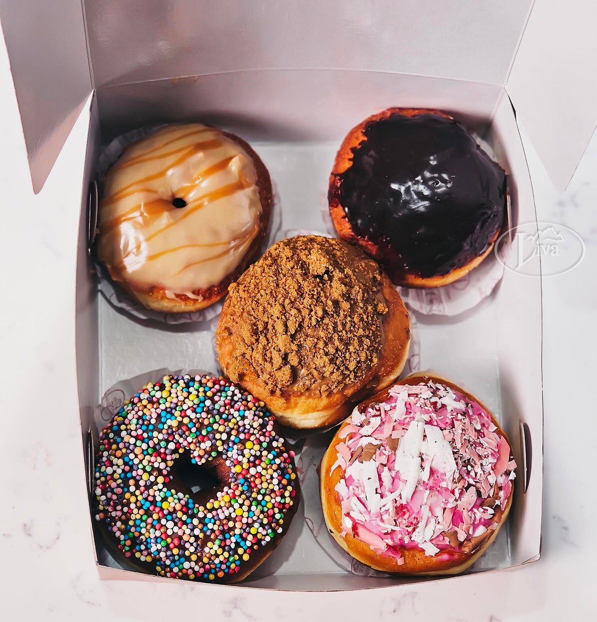 5 Donut Tek Fiyat