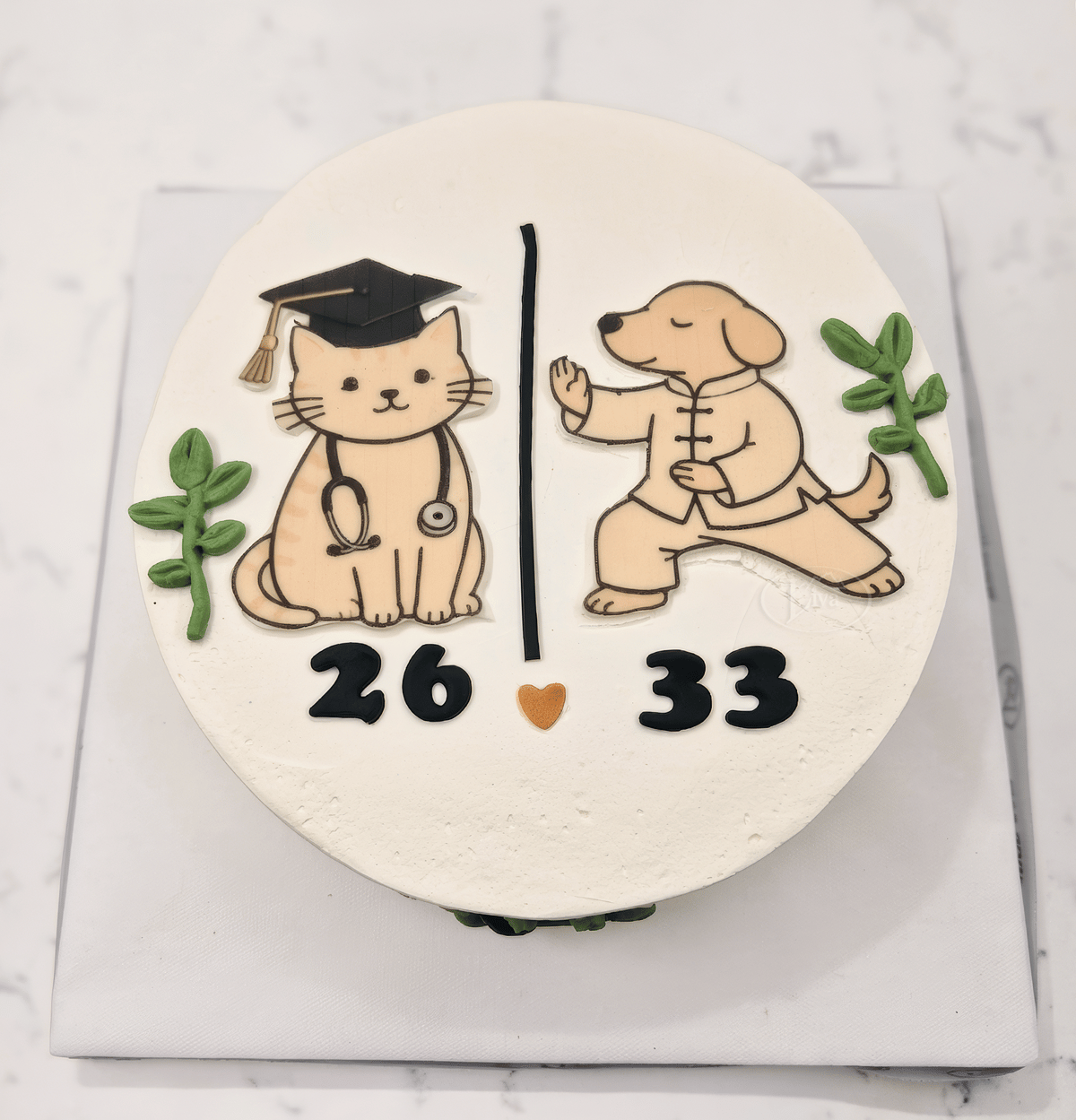Doktor Kedi Karate Köpek Özel Pasta