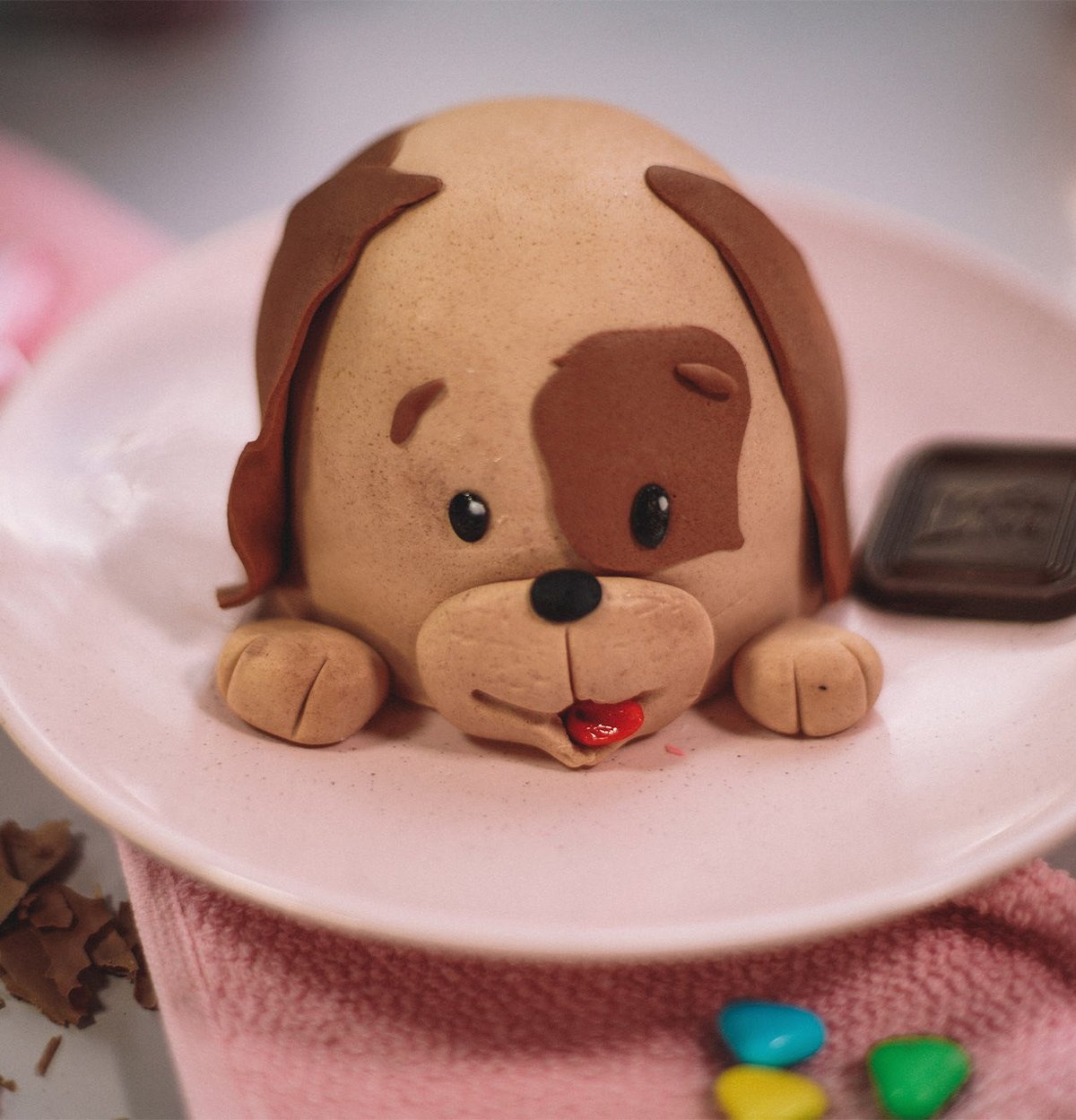 Liva Köpek Adet Pasta