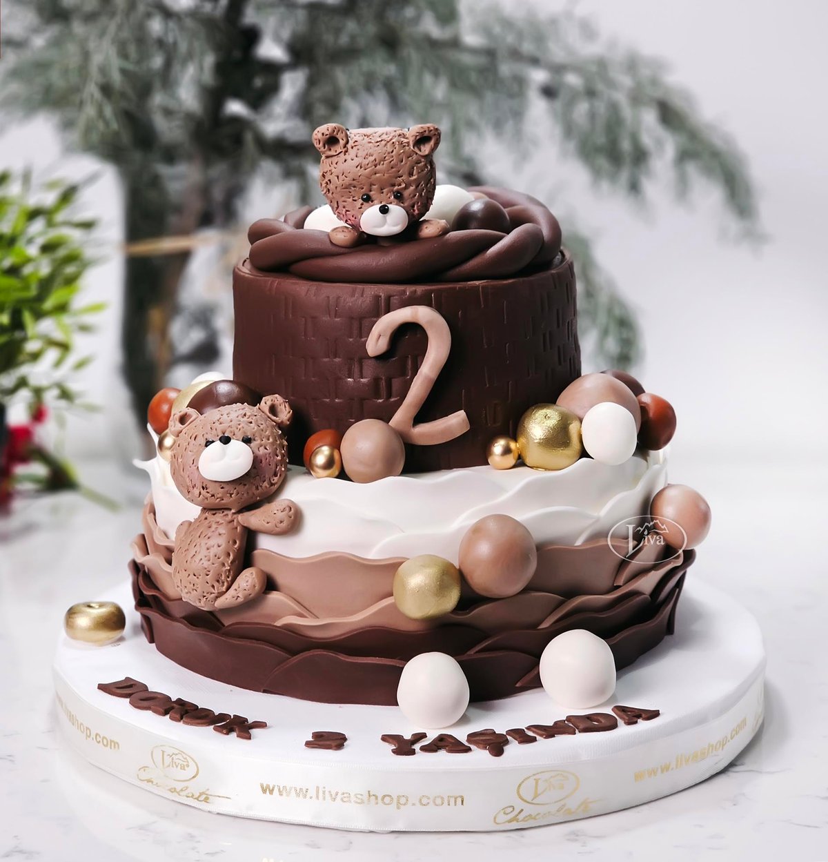 Liva Teddy'nin Çikolata Rüyası Özel Pasta