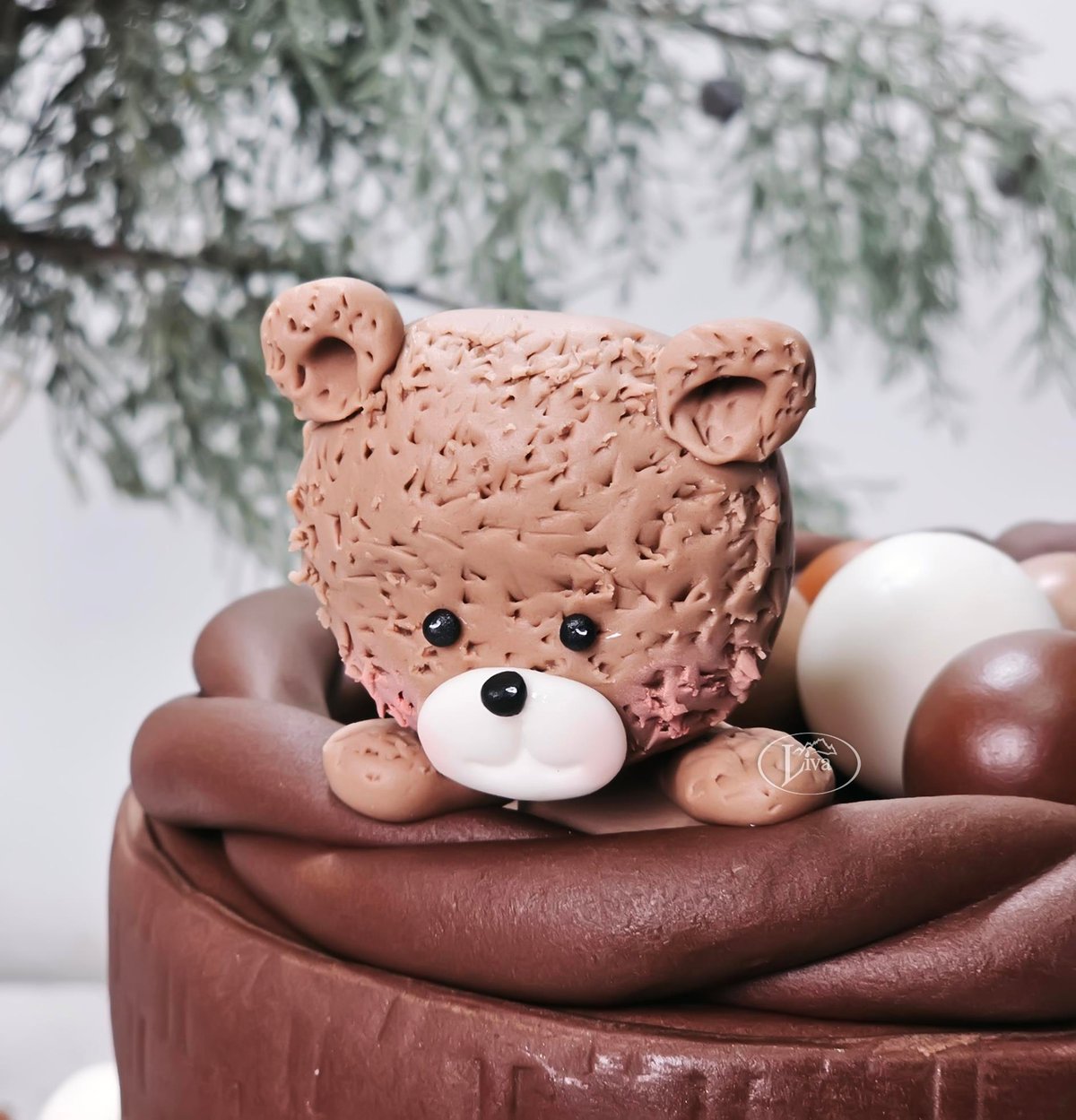 Liva Teddy'nin Çikolata Rüyası Özel Pasta