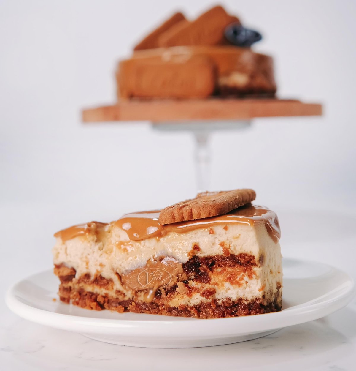 Lotuslu Cheesecake