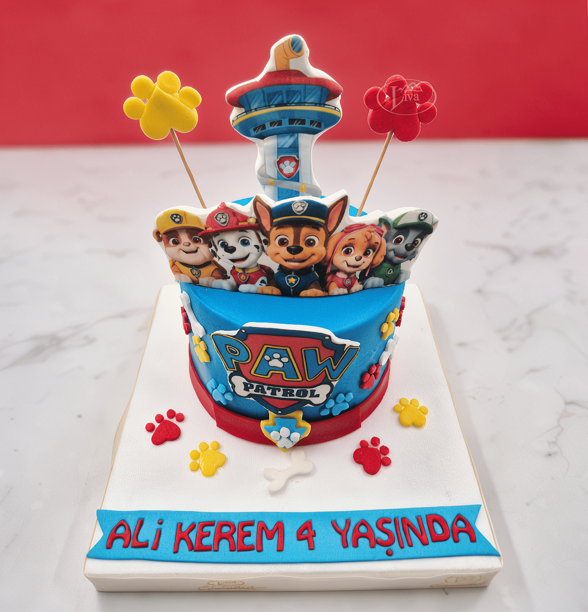 Pati Kulesi Özel Pasta