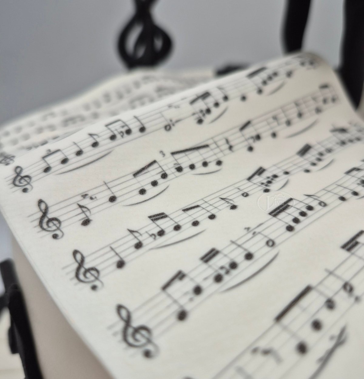 Piyano ve Müzik Notaları Özel Pasta