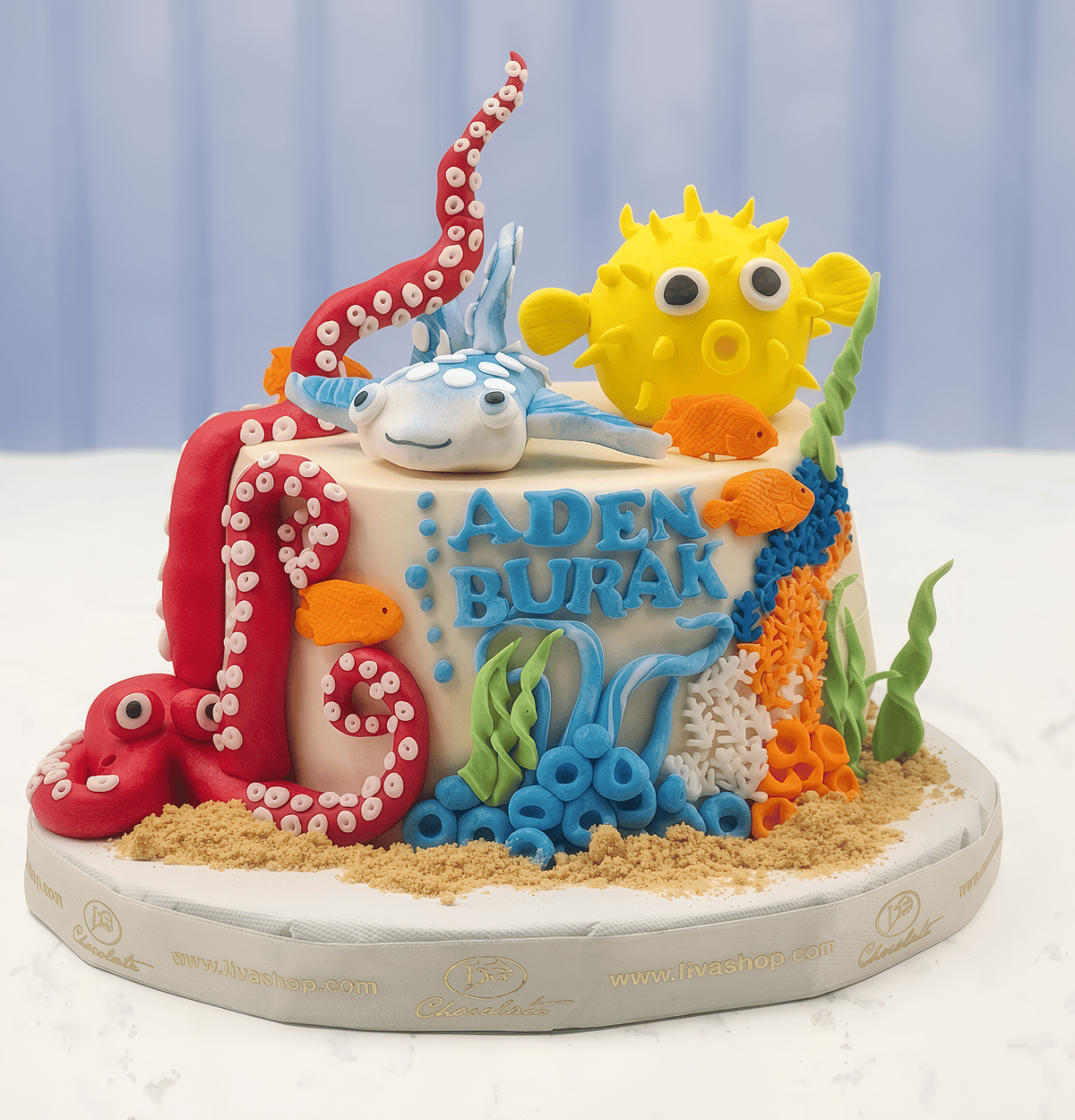 Renkli Deniz Canlıları Özel Pasta