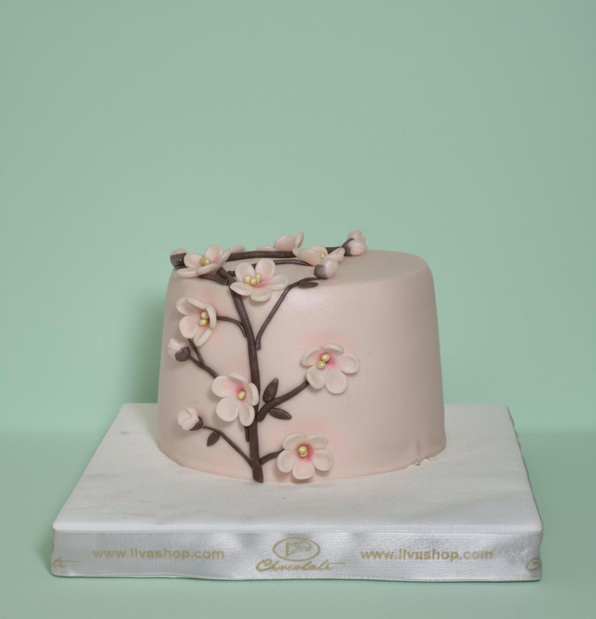 Sakura Rüyası Özel Pasta