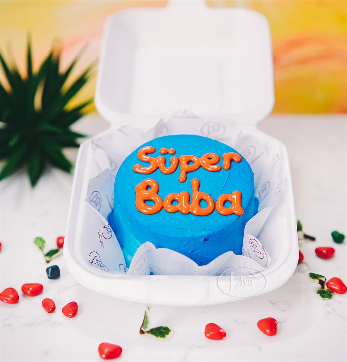 Süper Baba Bento Yazılı Adet Pasta