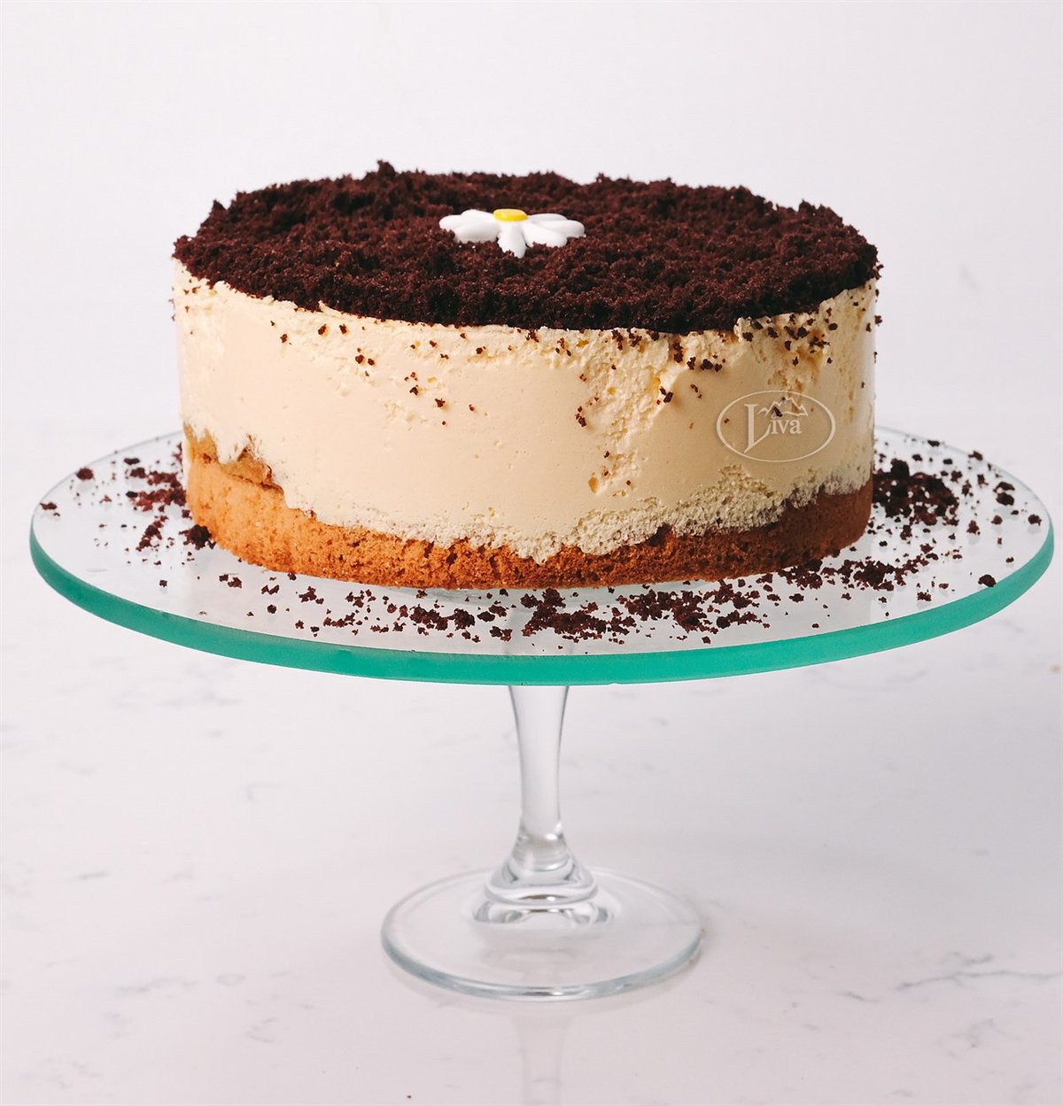 Tiramisu Pasta