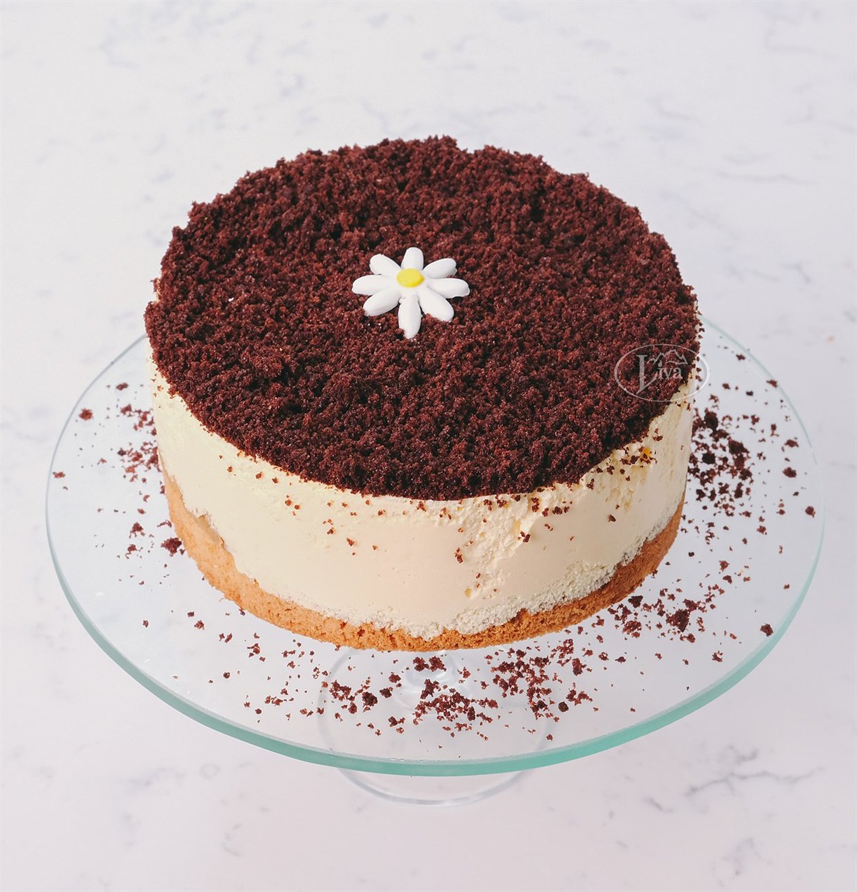 Tiramisu Pasta