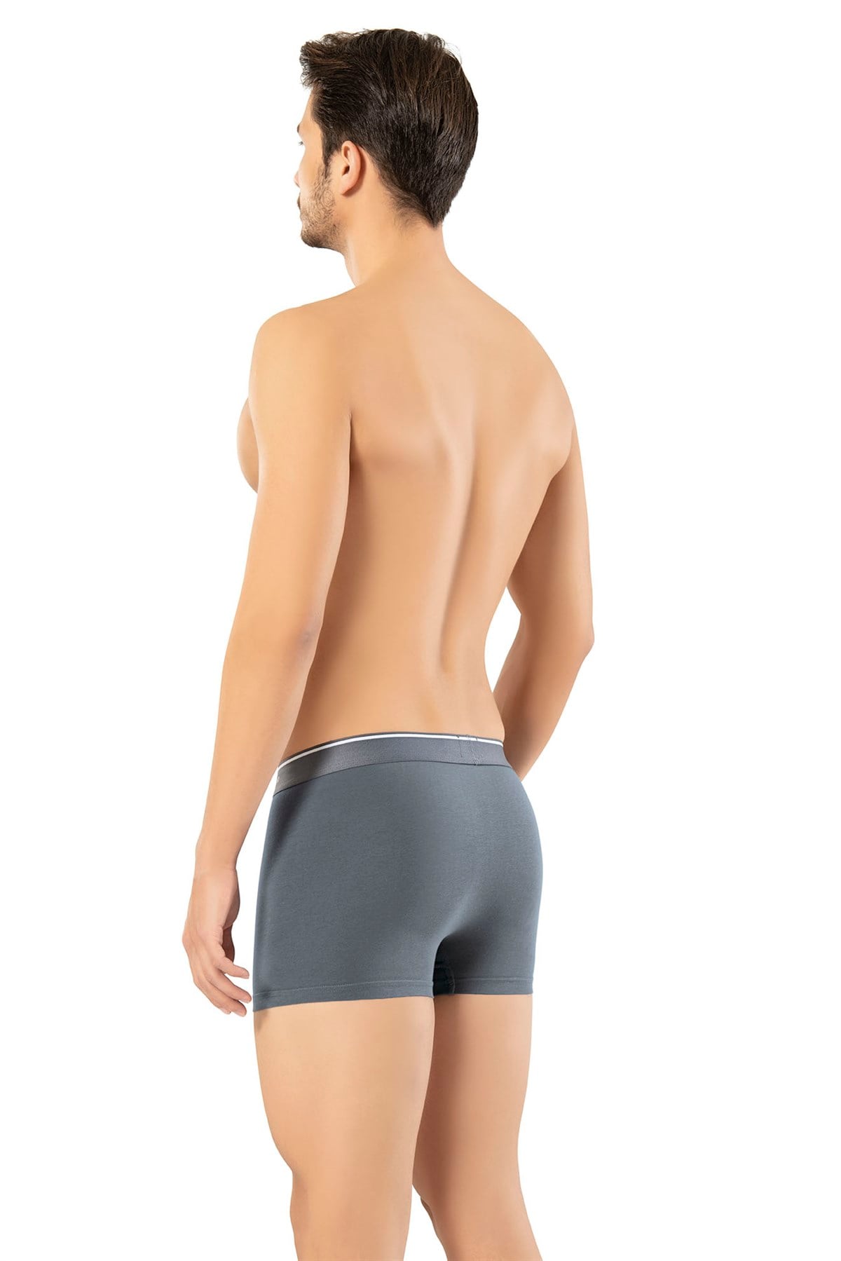 Erdem Pamuk Elastan Klasik Boxer