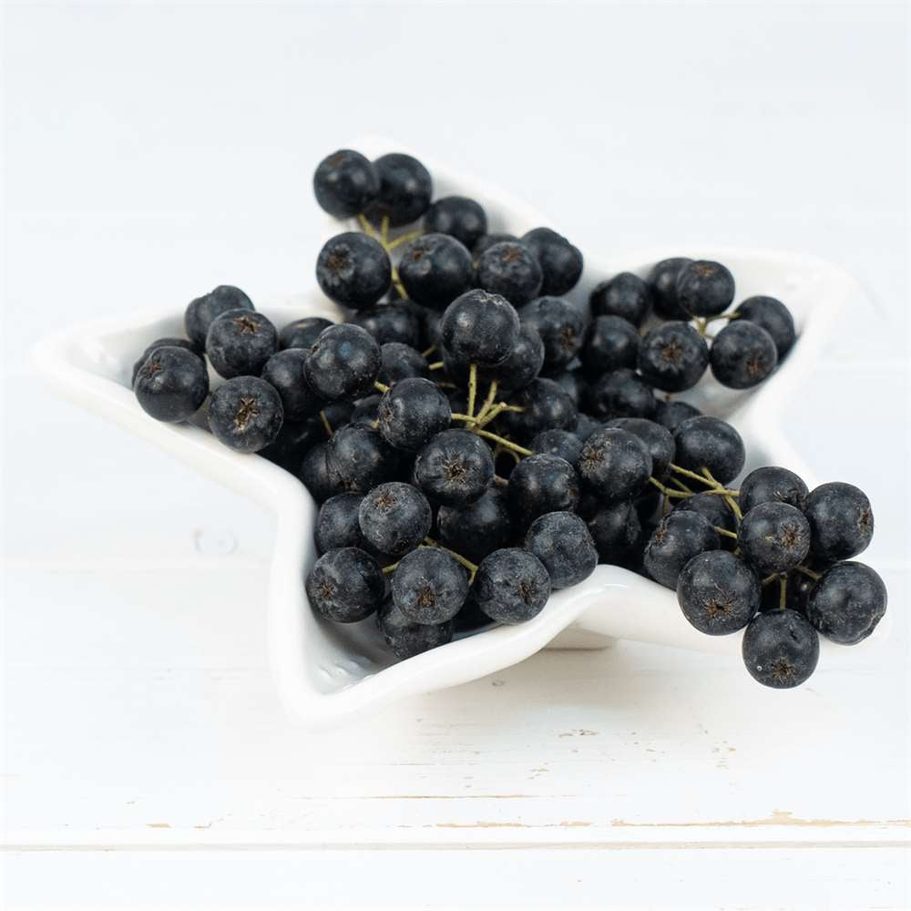 Aronya, 100g/Paket