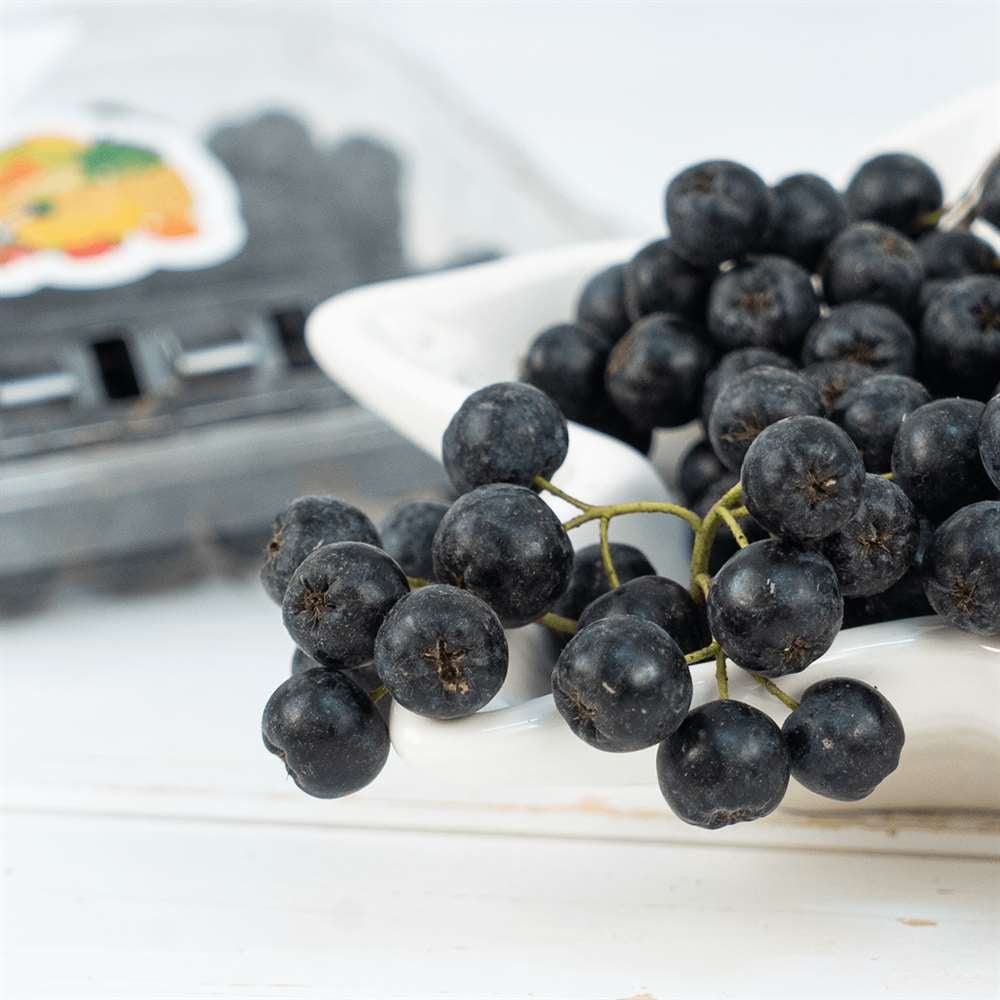 Aronya, 100g/Paket