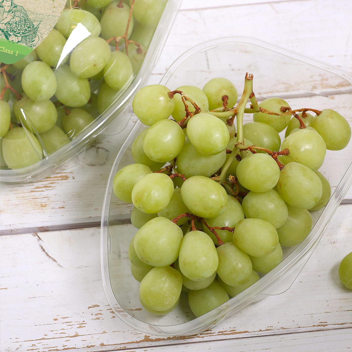 Beyaz Üzüm (Sweet Globe), Paket