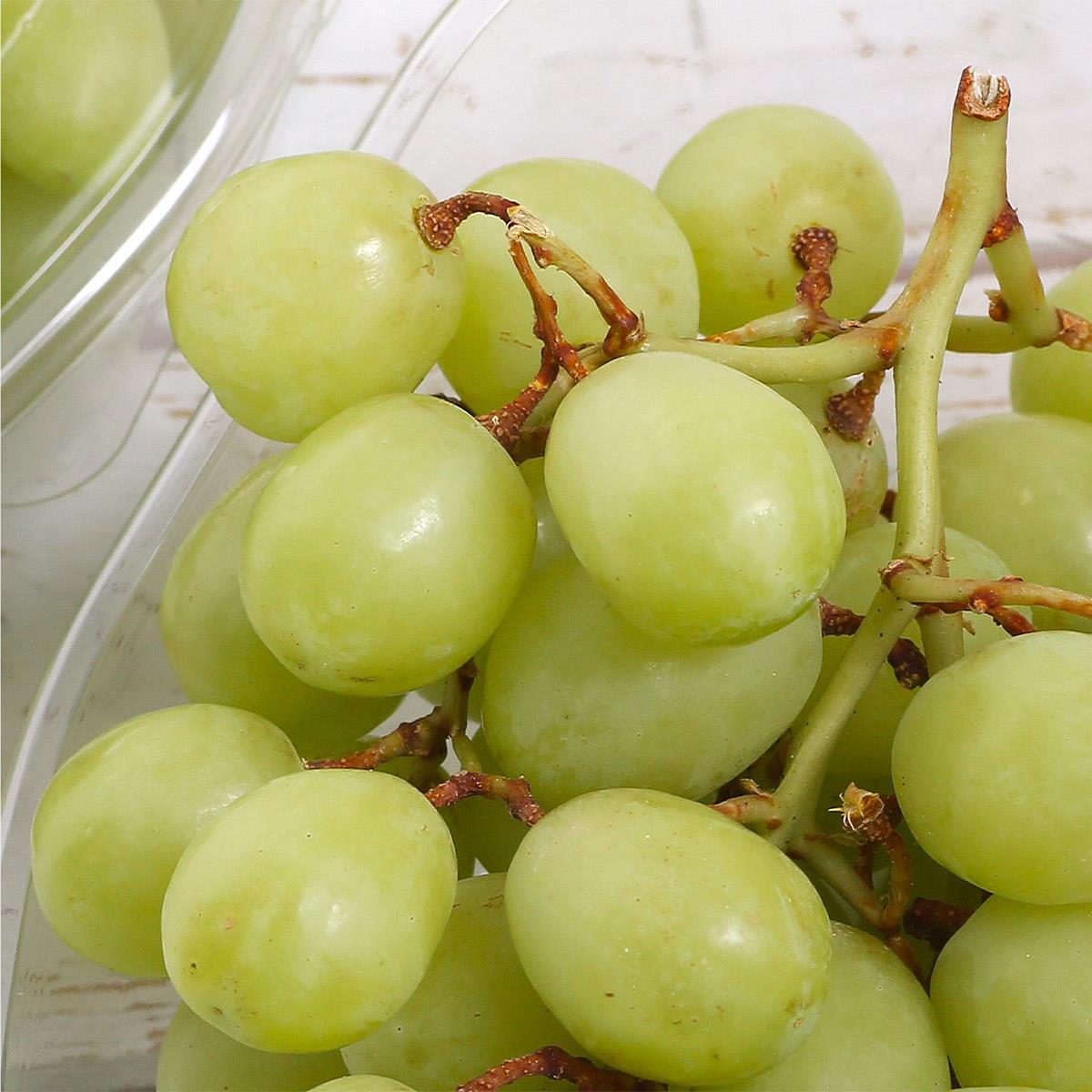 Beyaz Üzüm (Sweet Globe), Paket