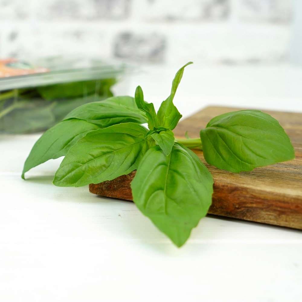 Fesleğen, 25g/Paket