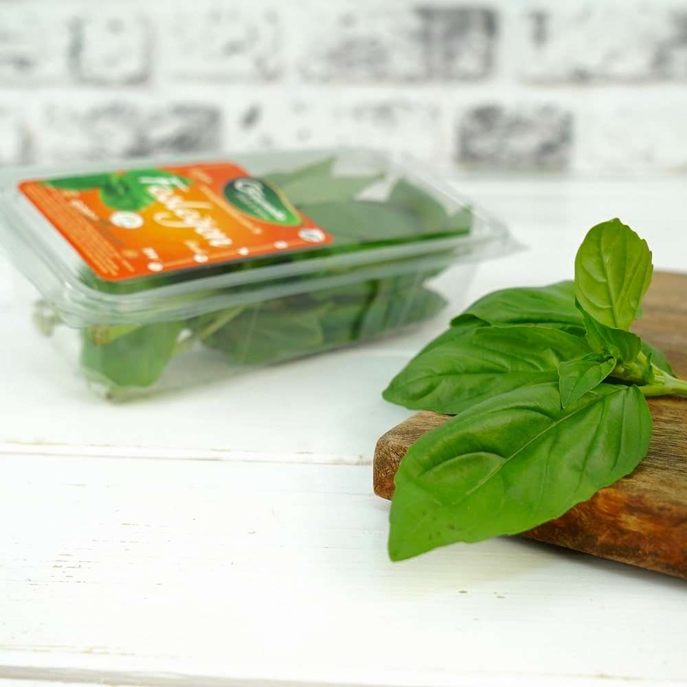Fesleğen, 25g/Paket
