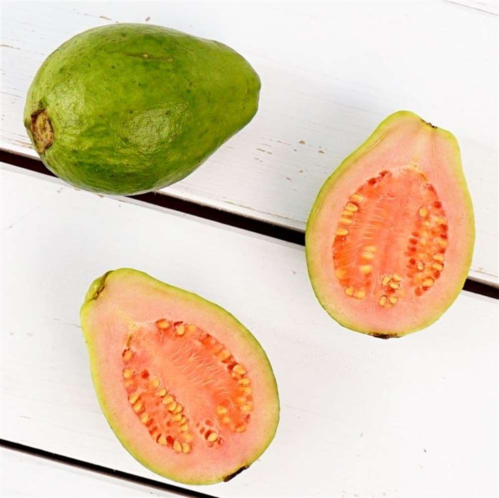 Guava, Paket