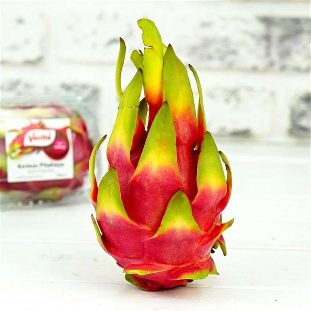 Kırmızı Pitahaya, Paket