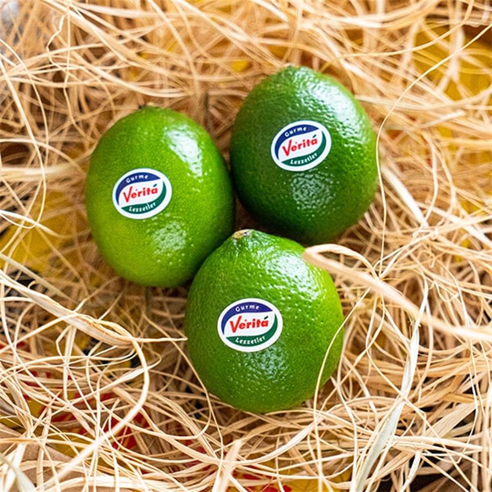 Kokteyl Paketi