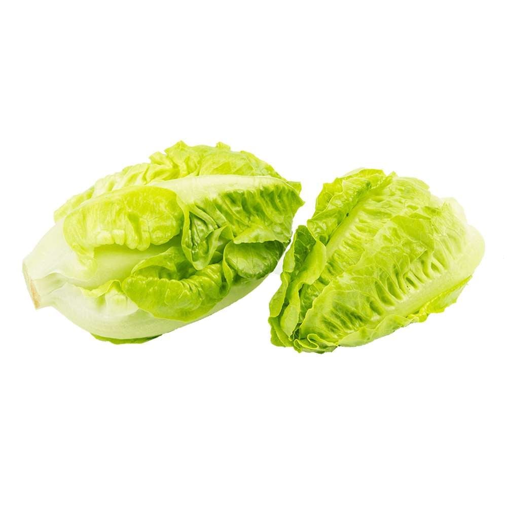 Marul Yedikule Mini, 4'lü Paket