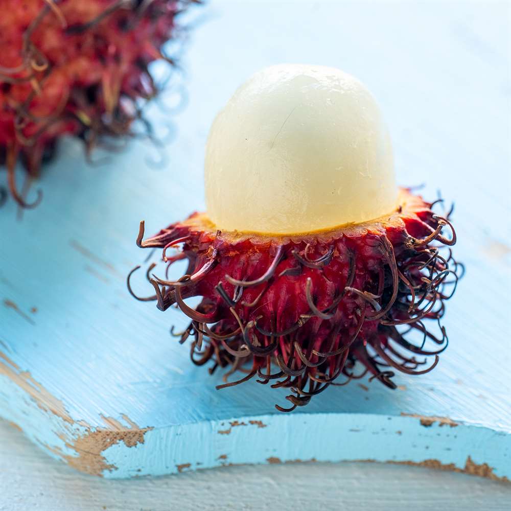 Rambutan - Paket