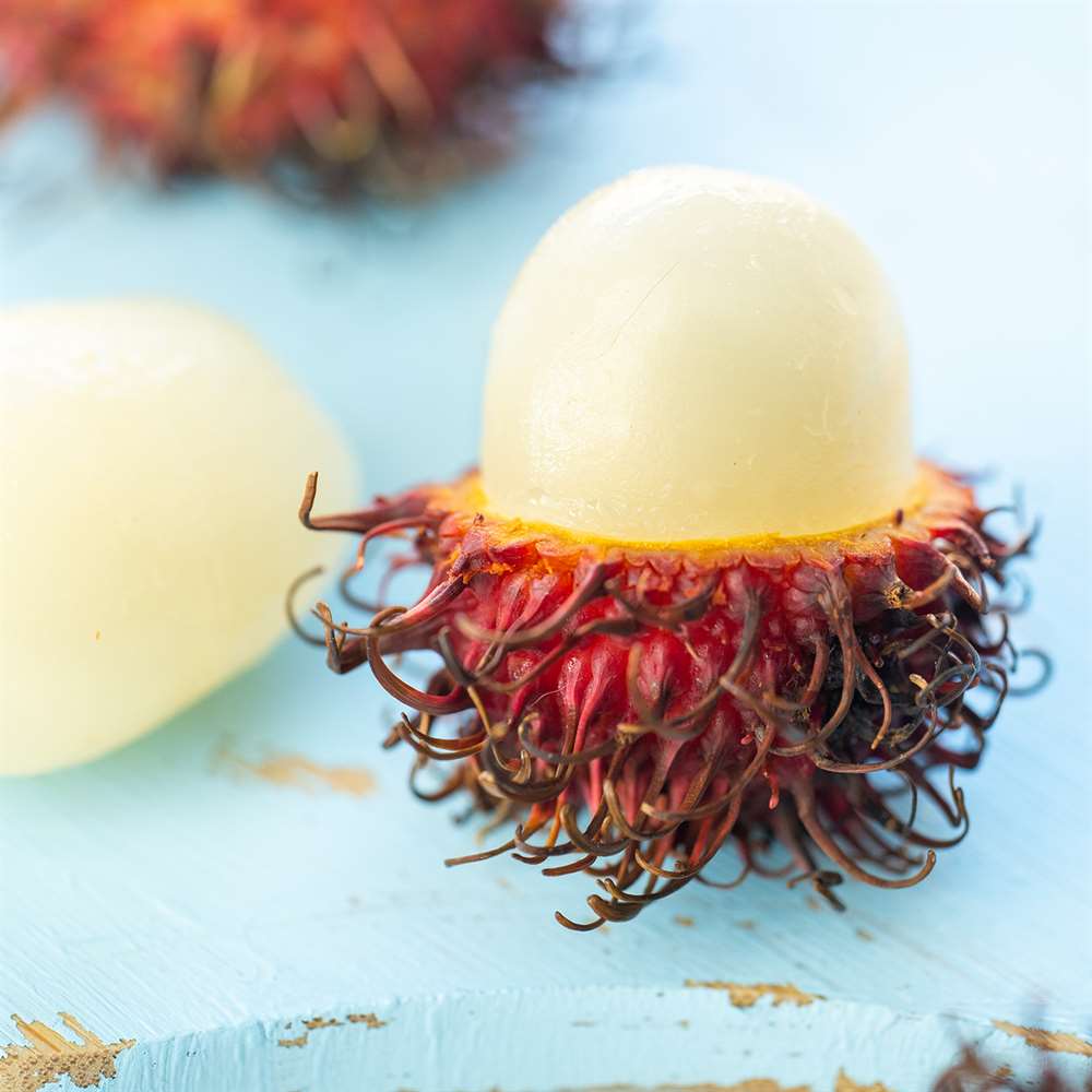 Rambutan - Paket