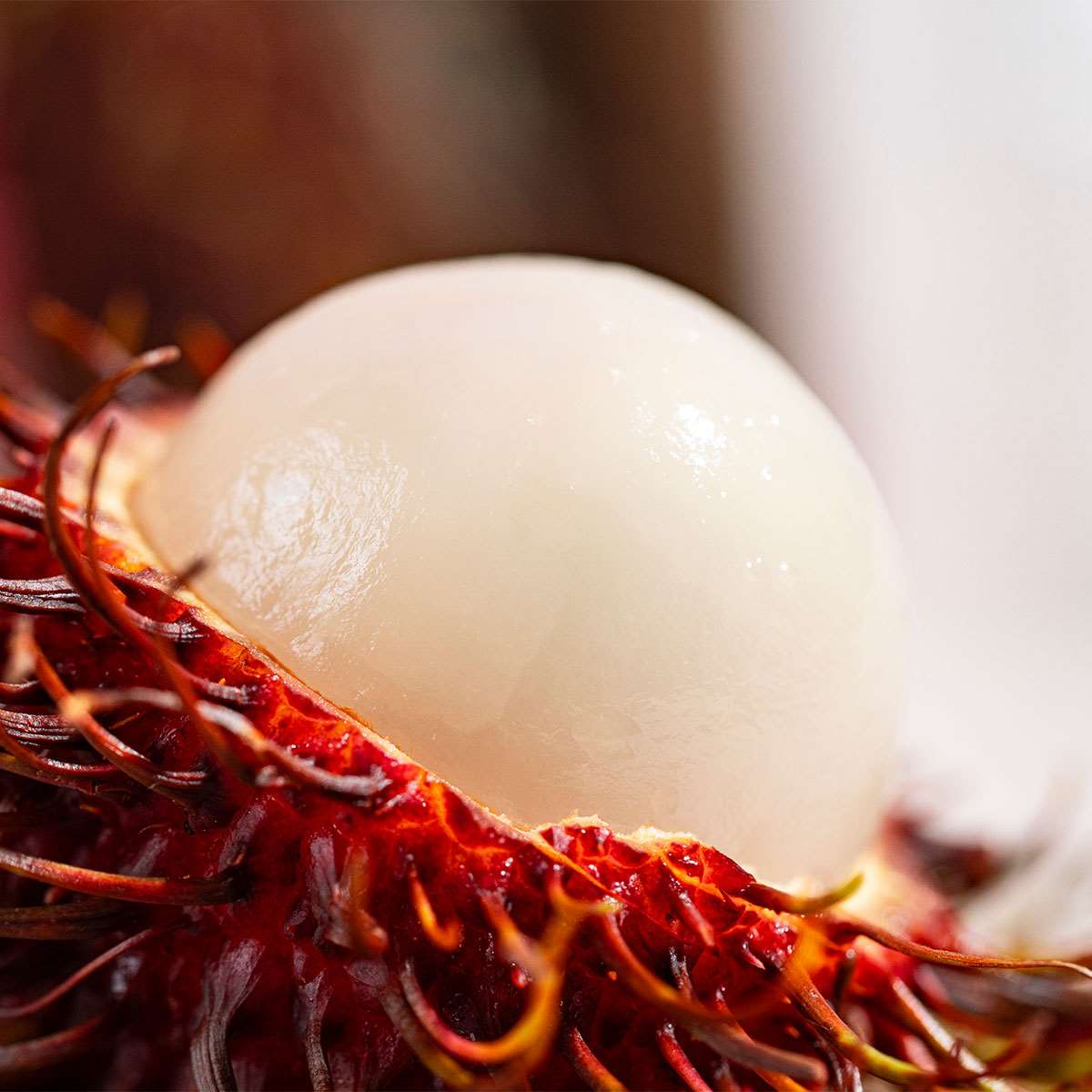 Rambutan, Paket