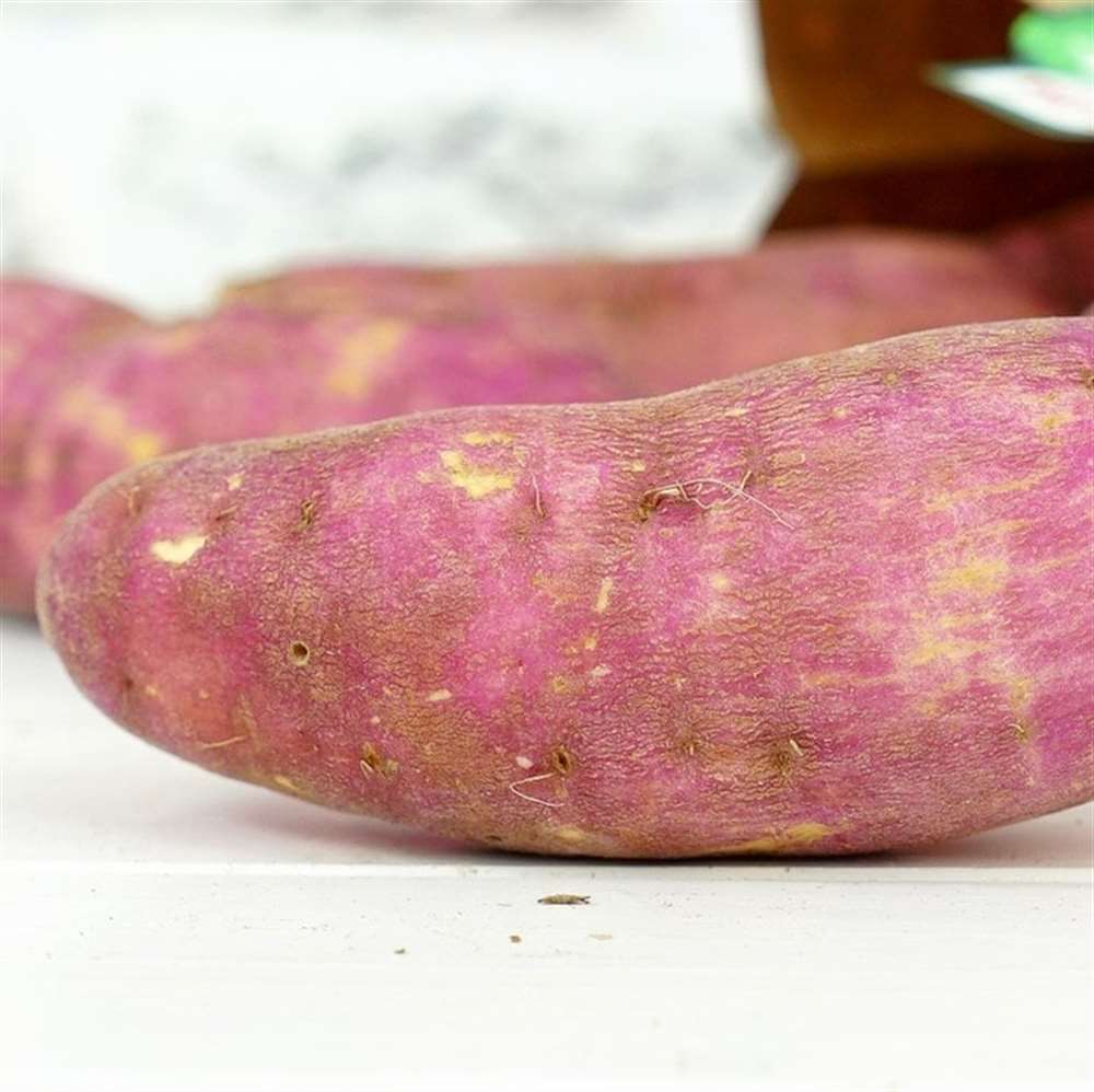 Tatlı Patates Kırmızı, Kilo