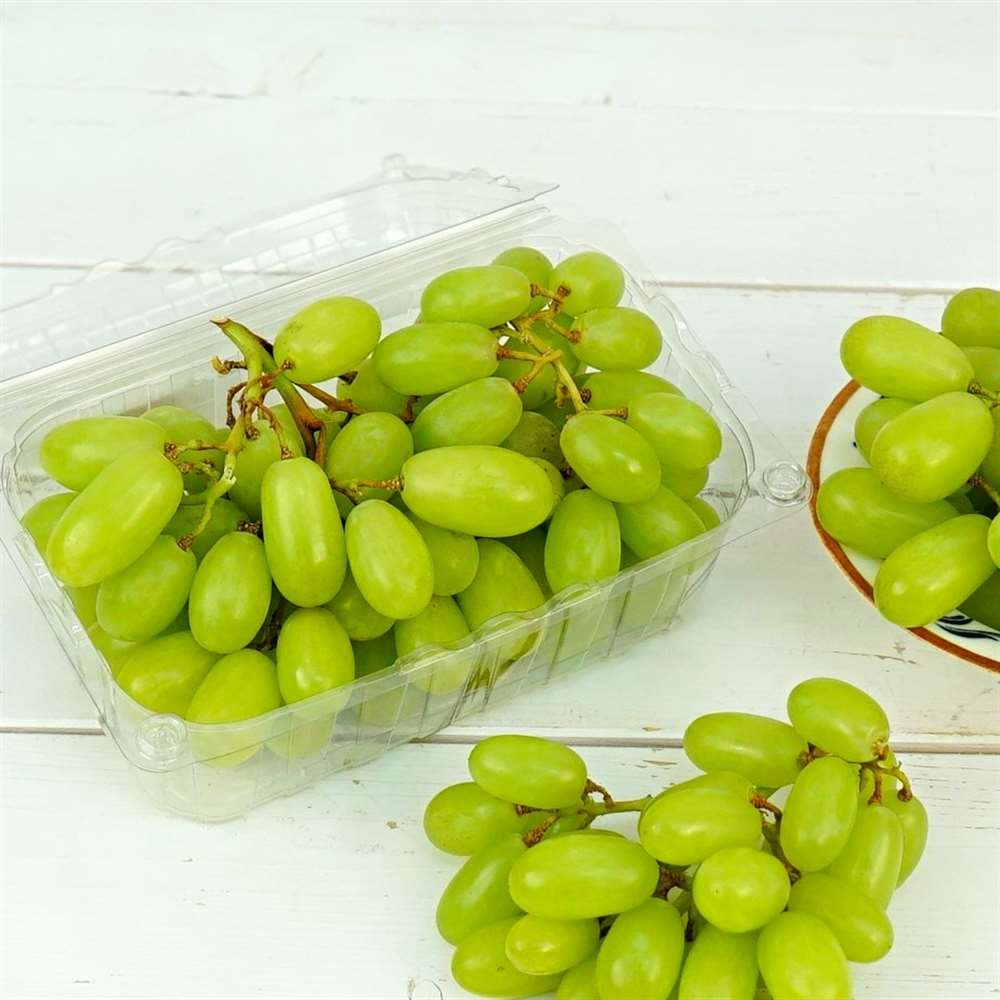 Yeşil Üzüm, Paket