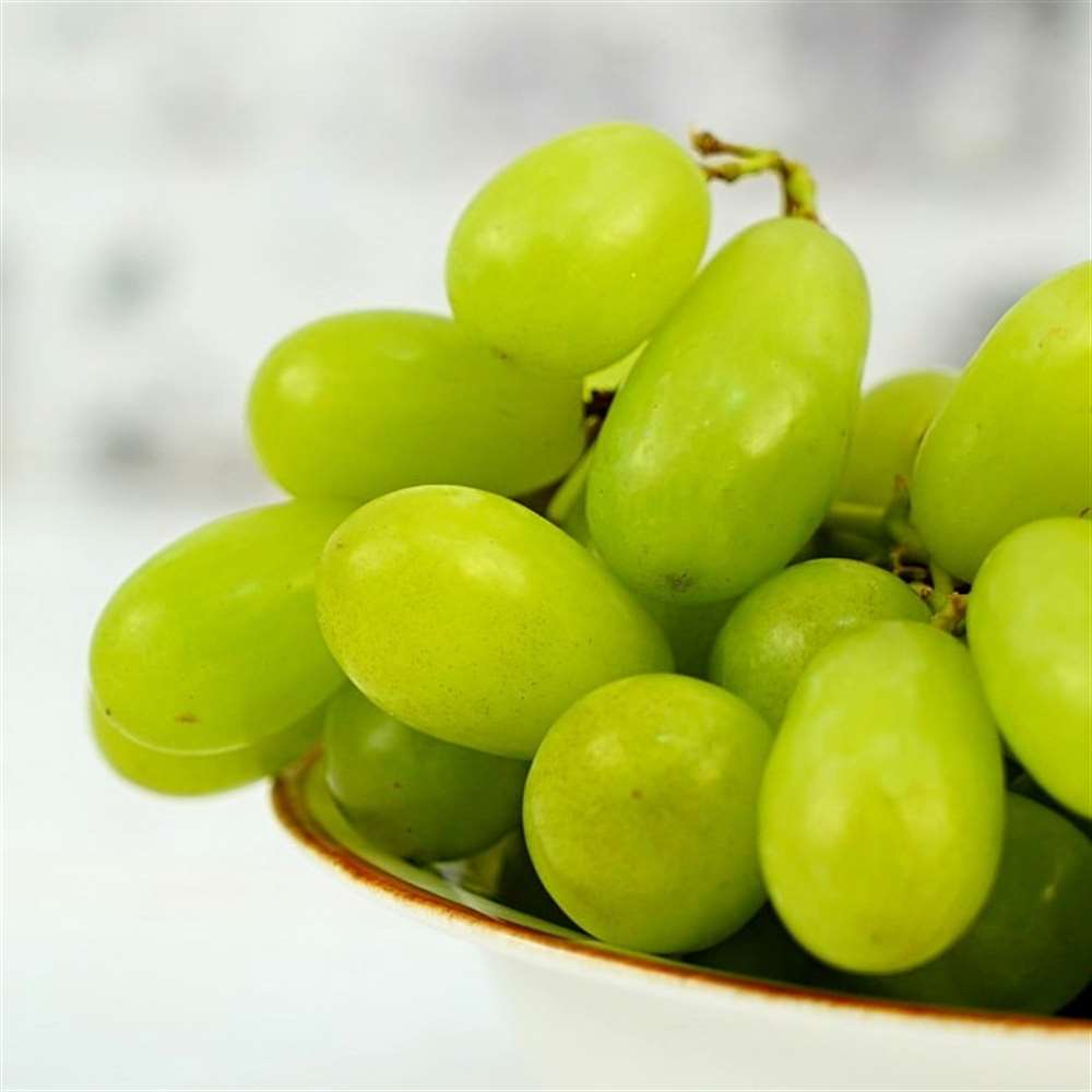 Yeşil Üzüm, Paket
