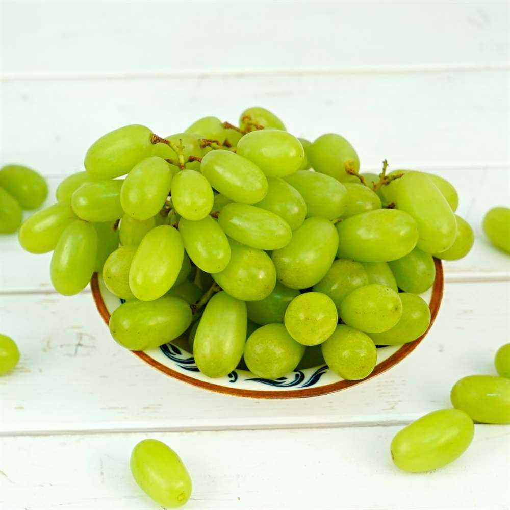 Yeşil Üzüm, Paket