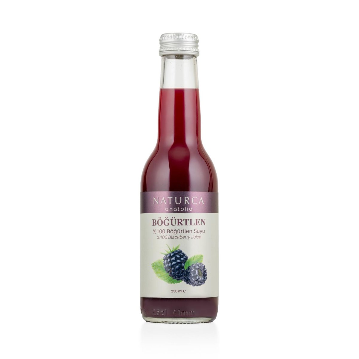 %100 Meyve Suyu  Böğürtlen 250 ml - Naturca