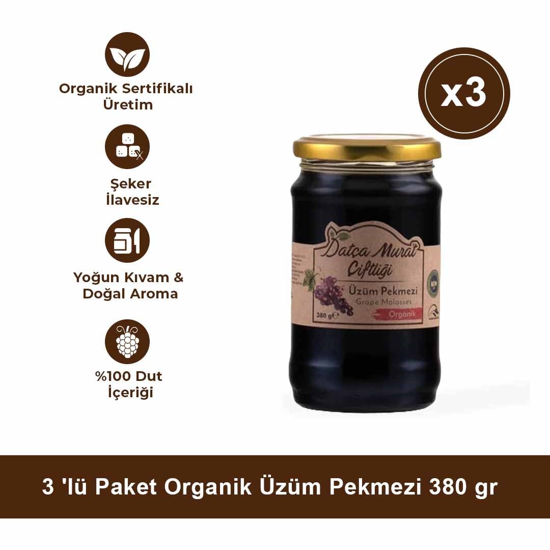 3 'lü Paket Organik Üzüm Pekmezi 380 gr