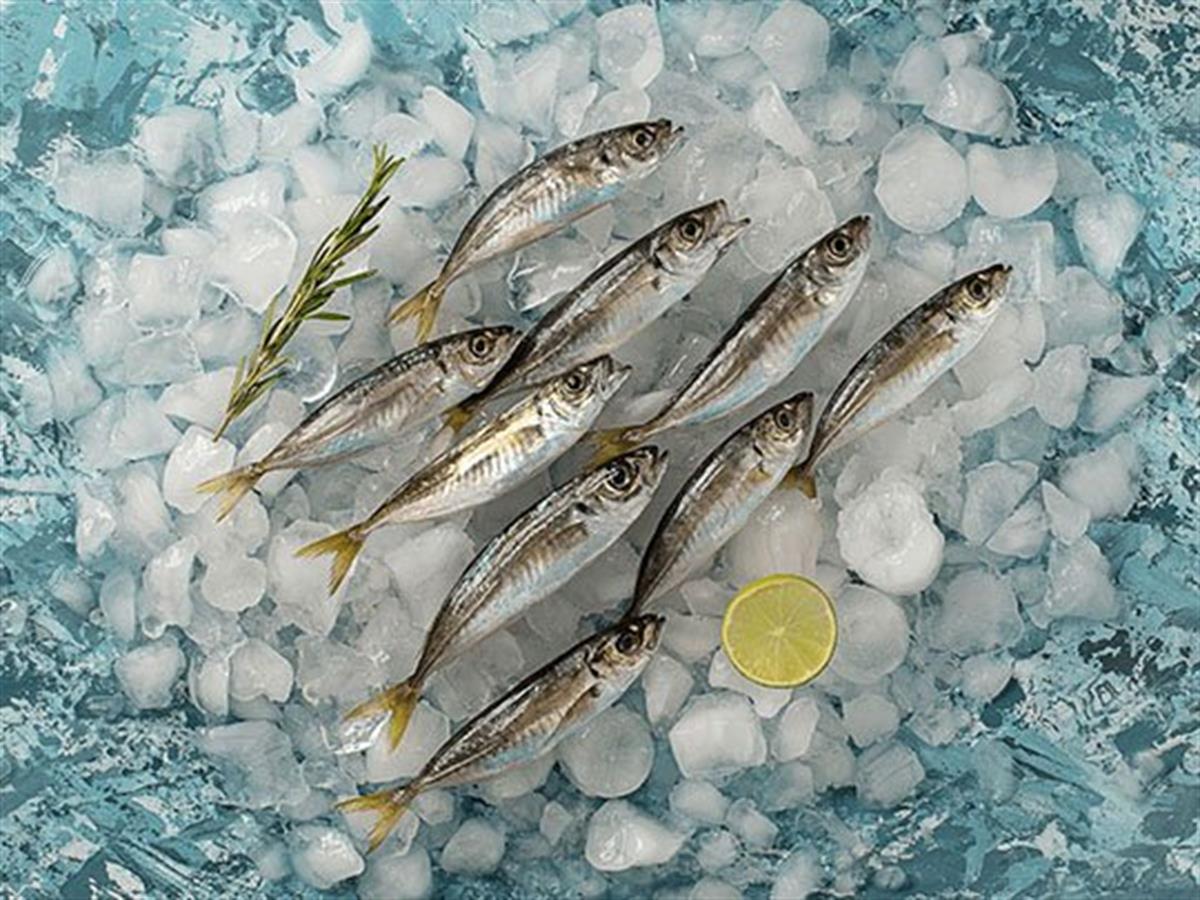 Balık Ye - İstavrit 500 gr