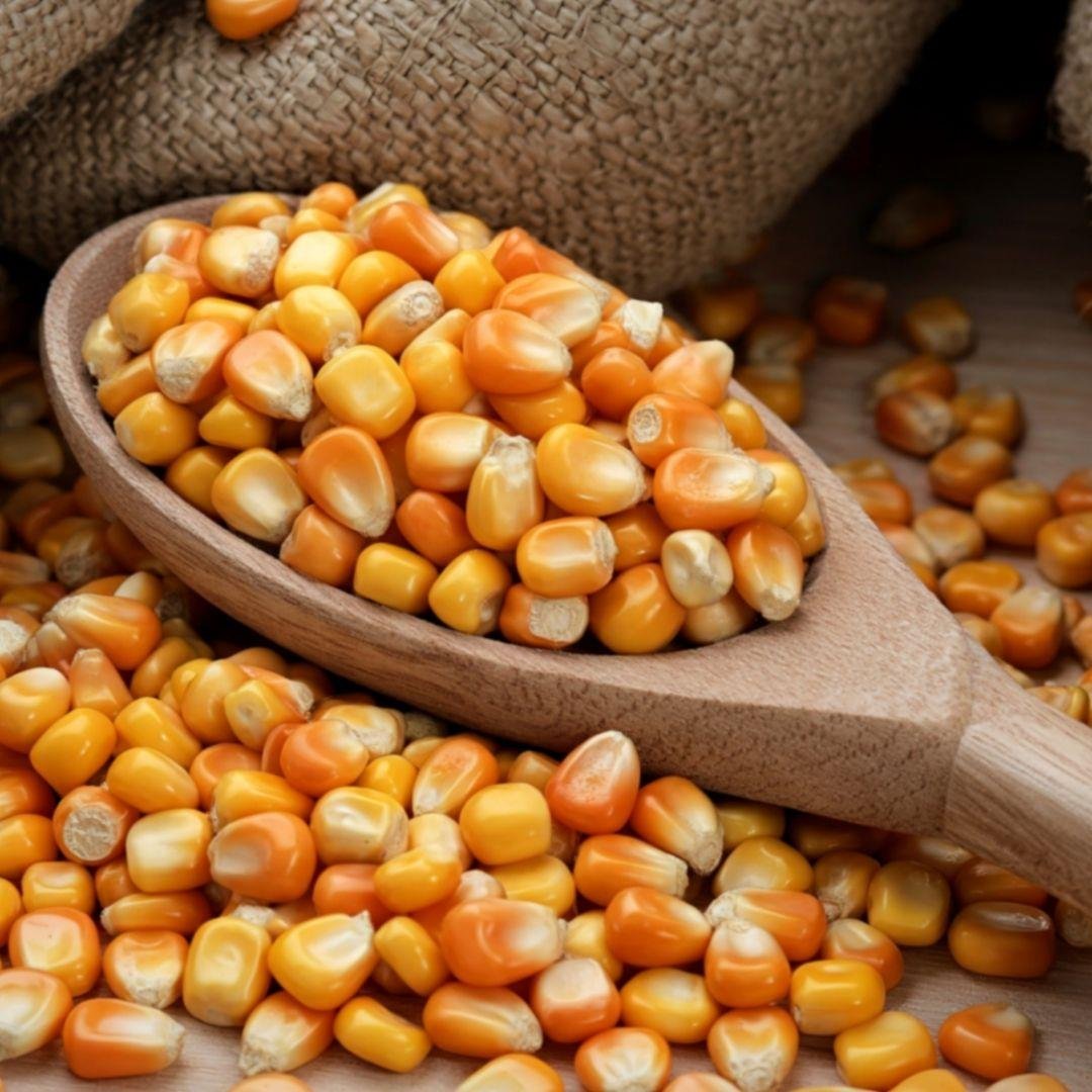 Doğal Patlatmalık Mısır 500 gr