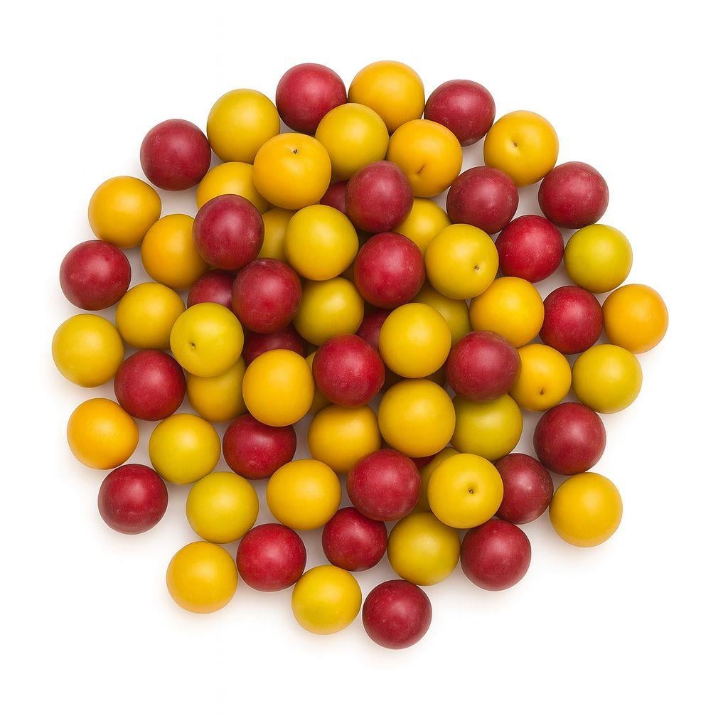 Kompostoluk Erik 500 gr