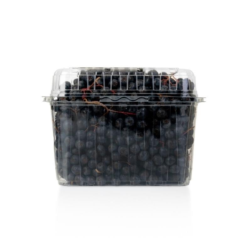 Organik Aronya 1 kg