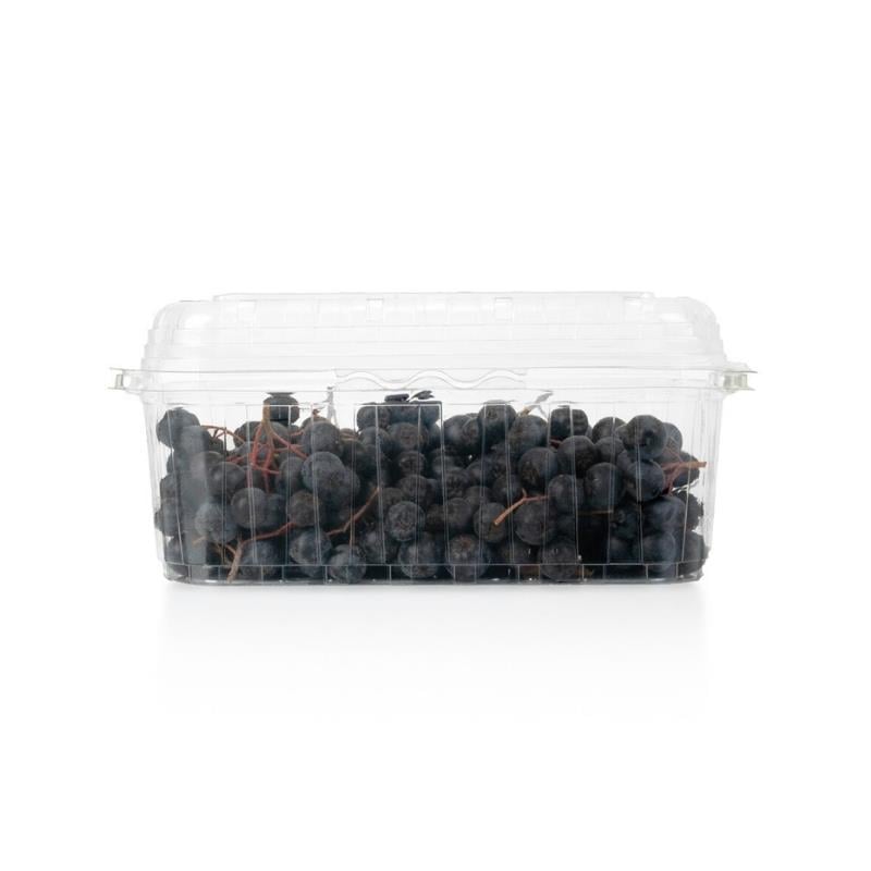 Organik Aronya 250 gr