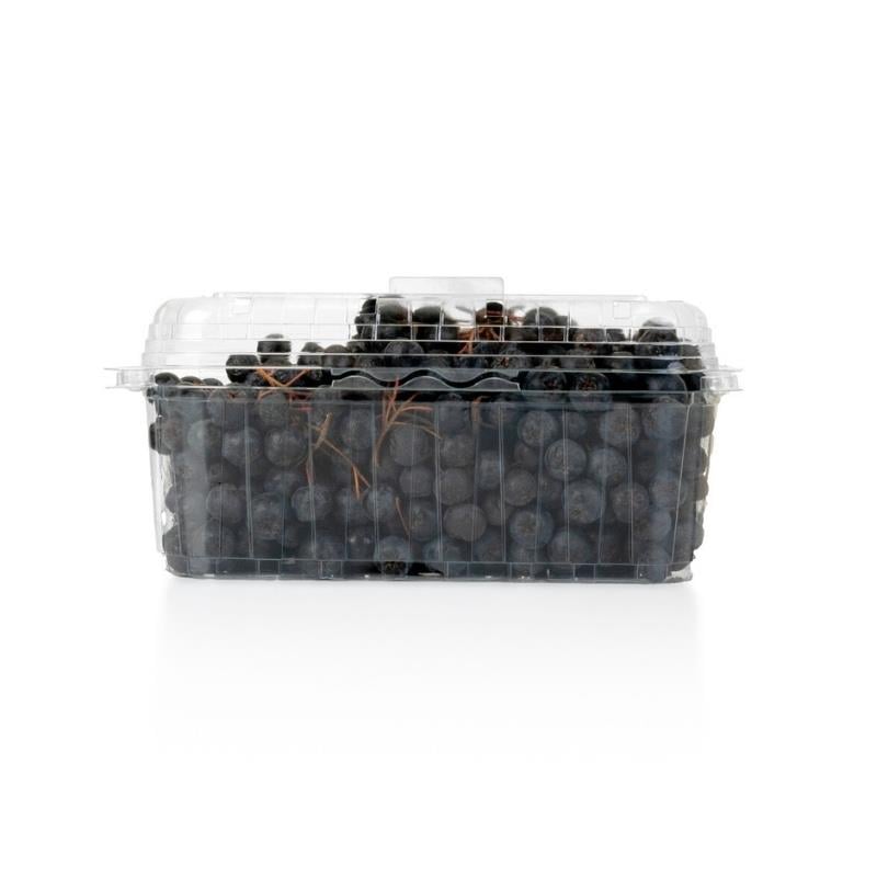 Organik Aronya 500 gr